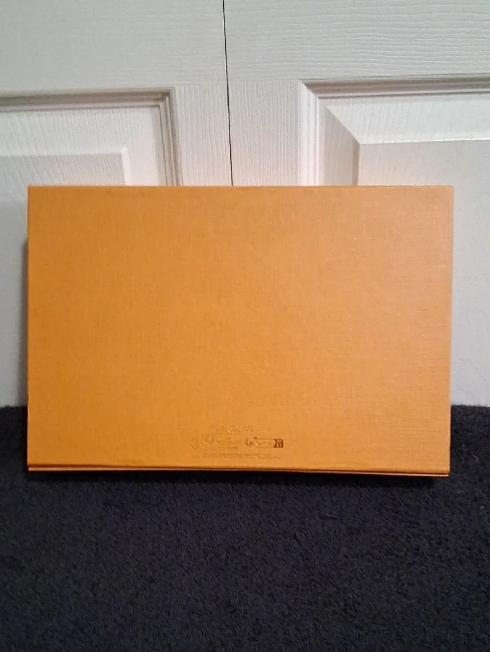 Louis Vuitton authentic louis